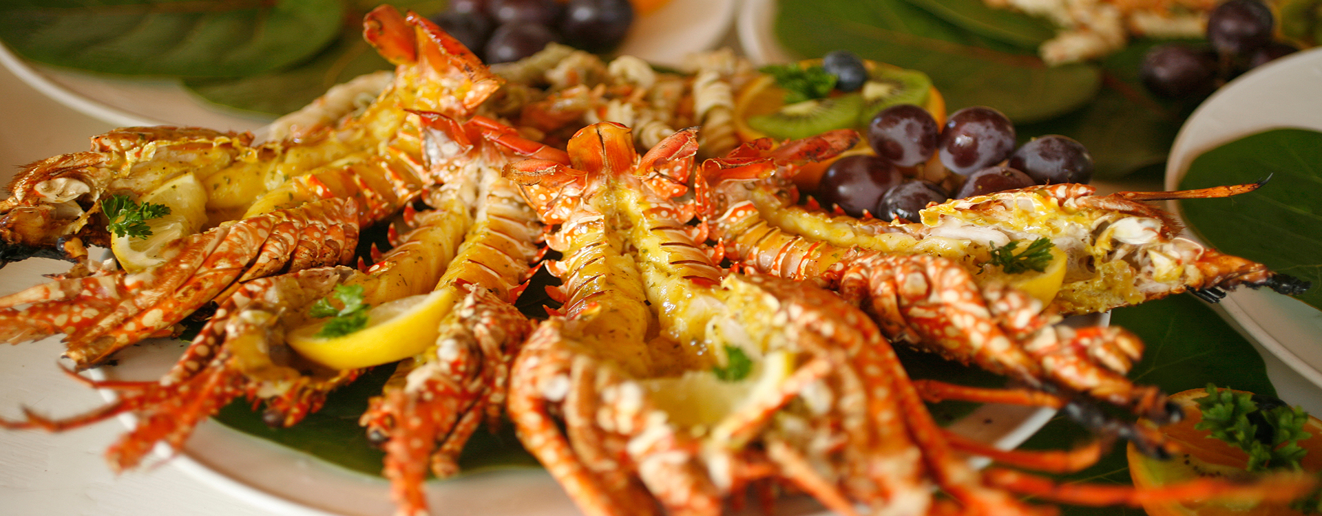 Cerulean serves fresh caught Anguilla seafood.            